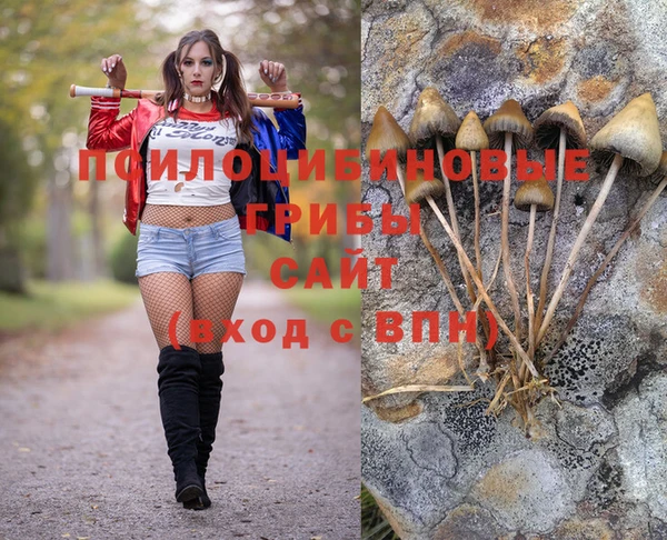 бутират Алексеевка