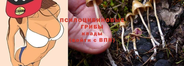 гидра Алексин