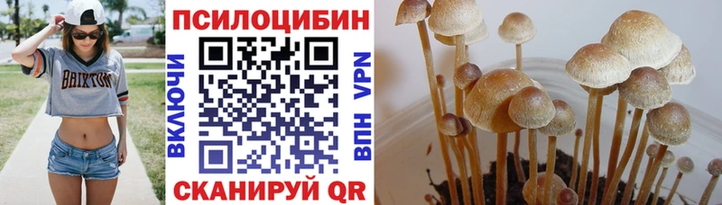 где купить наркоту  мориарти как зайти  Псилоцибиновые грибы мухоморы  Любань 